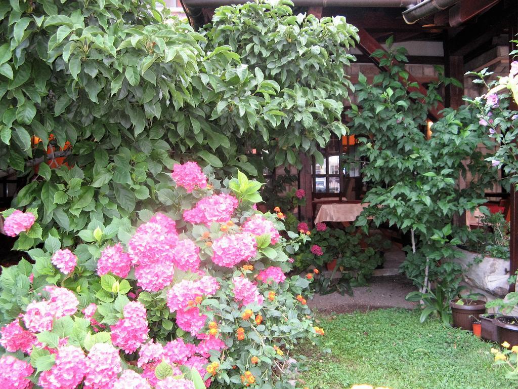 Guest House Zlatibor ブドヴァ エクステリア 写真