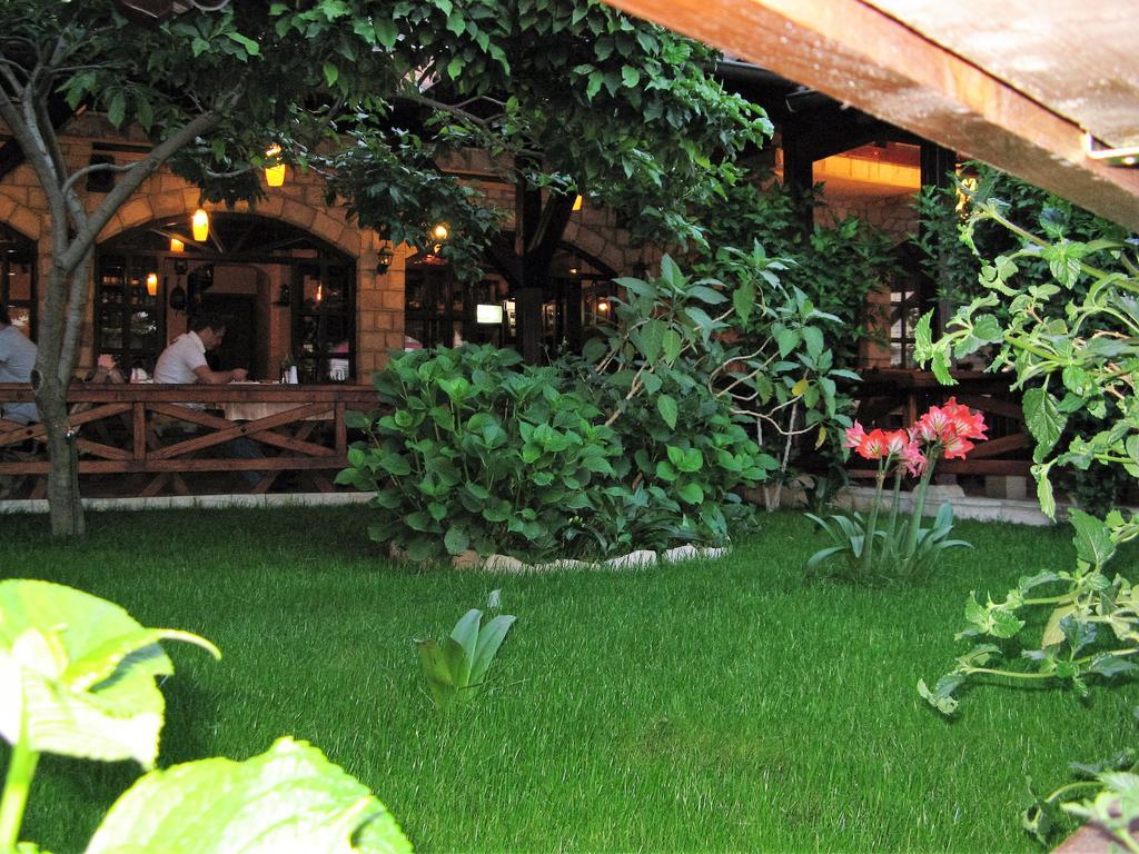 Guest House Zlatibor ブドヴァ エクステリア 写真