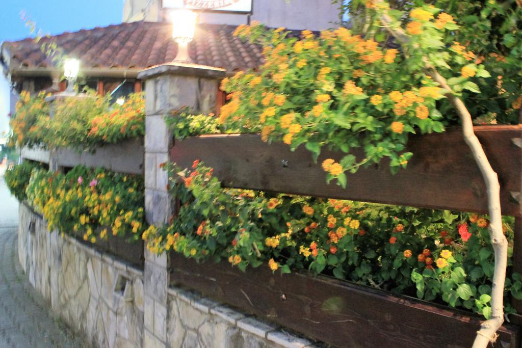 Guest House Zlatibor ブドヴァ エクステリア 写真